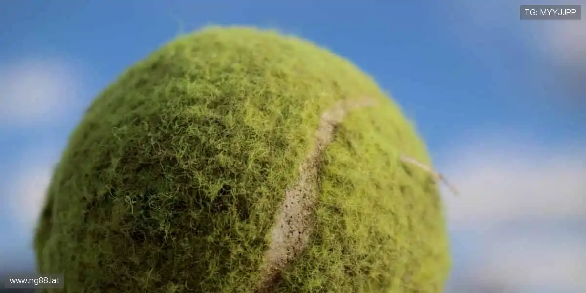 一键订阅，赛事提醒永不缺席！🔔🎉